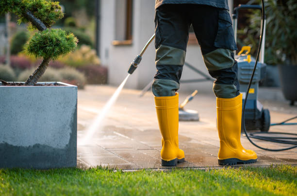 Best Sidewalk Pressure Washing  in Waverly, MN